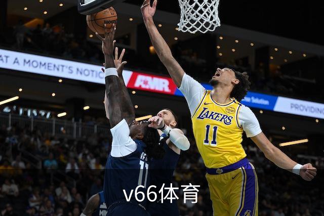 v66体育公司简介图片